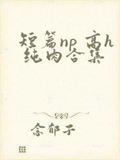 短篇np 高h 纯肉合集