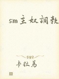 sm主奴调教文
