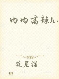 肉肉高辣h小说