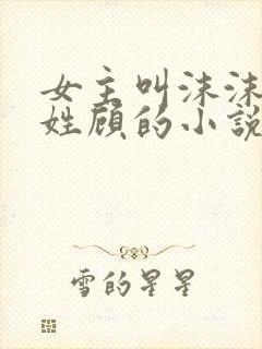 女主叫沫沫男主姓顾的小说