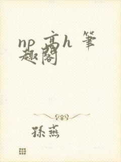 np 高h 笔趣阁
