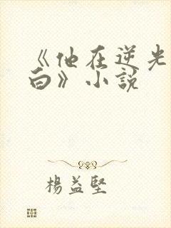 《他在逆光中告白》小说