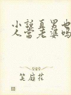 小说直男也能给人当老婆吗