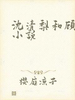 沈清梨和顾珩的小说