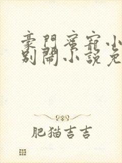 豪门蜜宠小甜妻别闹小说免费阅读