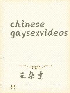 chinesegaysexvideos封面