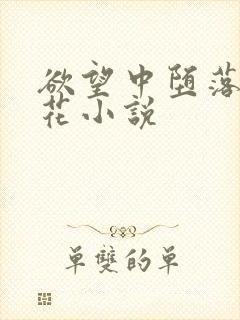 欲望中堕落的校花小说