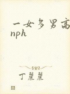 一女多男高辣文nph