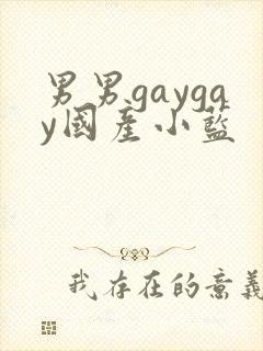 男男gaygay国产小蓝
