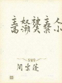 主奴被主人调教高潮失禁小说