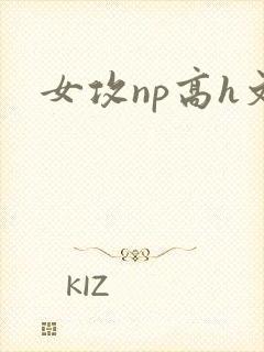 女攻np高h文