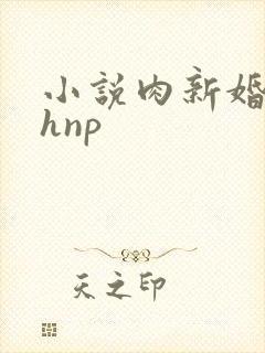 小说肉新婚少妇hnp封面