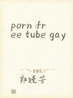 porn free tube gay