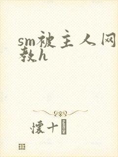 sm被主人网调教h