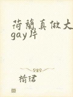 荷兰真做大尺度gay片