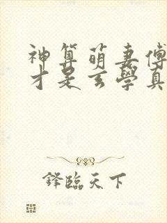 神算萌妻傅太太才是玄学真大佬小说封面