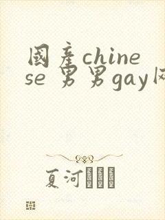 国产chinese 男男gay网站