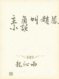 主角叫赵凤生的小说封面