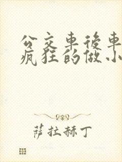 公交车后车座的疯狂的做小封面