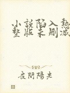 小说陷入热恋完整版未删减小说
