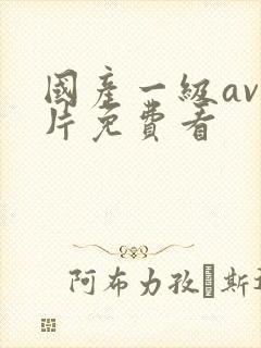 国产一级av大片免费看