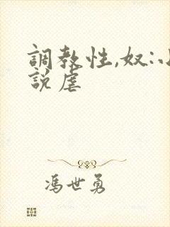 调教性,奴:小说虐