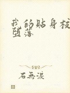 我的贴身校花h堕落封面