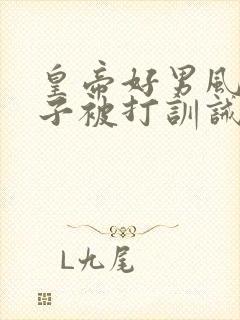 皇帝好男风,太子被打训诫文小说