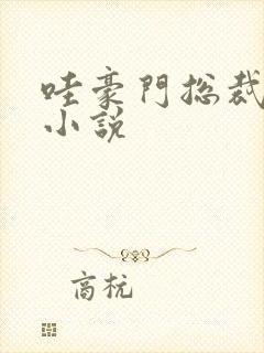 哇豪门总裁真凶小说