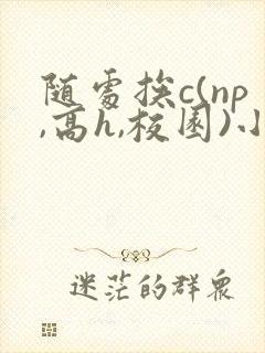 随处挨c(np,高h,校园)小说