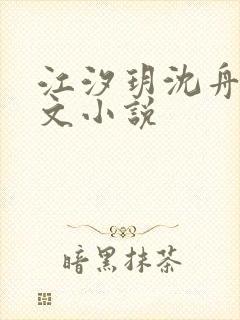 江汐玥沈舟琛全文小说