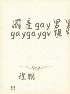 国产gay男男gaygaygv视频封面