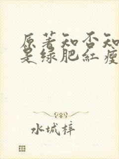 原著知否知否应是绿肥红瘦