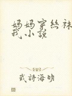 妈妈穿丝袜诱惑我小说封面
