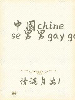 中国chinese男男gay gay网站