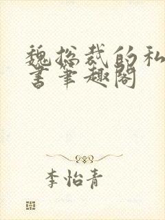 魏总裁的私人秘书笔趣阁封面