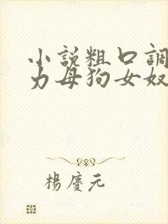 小说粗口调教暴力母狗女奴