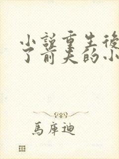 小说重生后我成了前夫的小舅娘