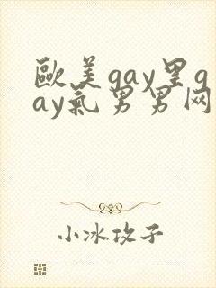 欧美gay里gay气男男网站