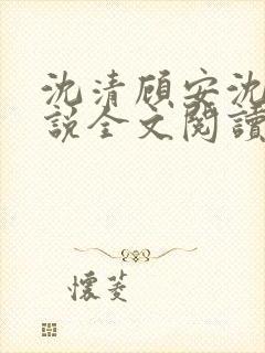 沈清顾安沈澈小说全文阅读