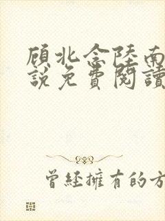 顾北念陆南辰小说免费阅读无弹窗