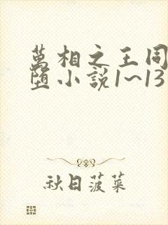 万相之王同人恶堕小说1~13