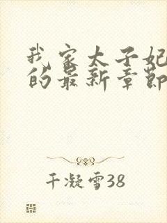我家太子妃超凶的最新章节目录