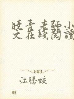 晓青老师小说全文在线阅读