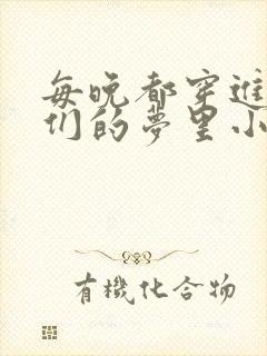 每晚都穿进男神们的梦里小说免费阅读全文封面
