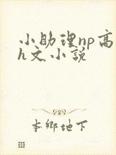 小助理np高辣h文小说