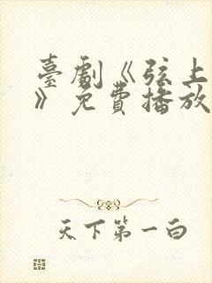 台剧《弦上光年》免费播放全集高清