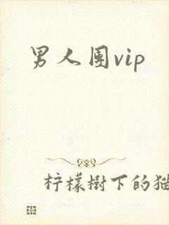 男人团vip
