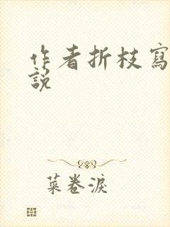 作者折枝写的小说