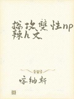 总攻双性np高辣h文封面